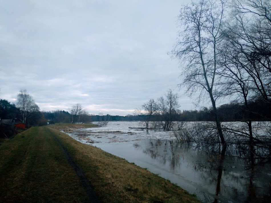 Gauja ar ledus iešanu