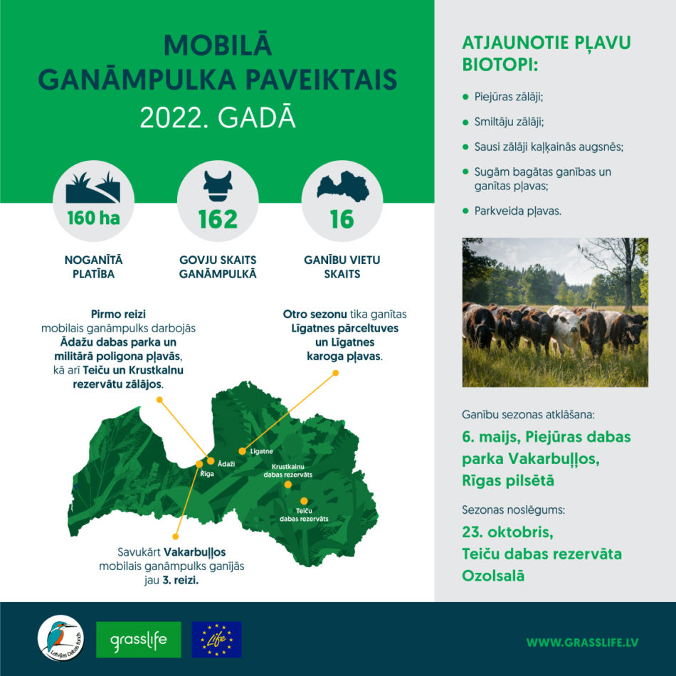 infografika par mobilo ganāmpulku